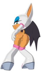 rouge the bat from sega by hecticarts