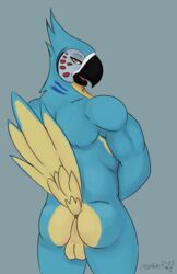 1boy anus avian blush breath_of_the_wild kass_(zelda) male male_only mastermasher23 muscular nintendo nude rito solo testicles the_legend_of_zelda video_games