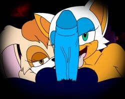 2girls bat brown_eyes furry garry_wulf green_eyes penis rabbit rouge_the_bat sonic_(series) sonic_the_hedgehog sonic_the_hedgehog_(series) vanilla_the_rabbit