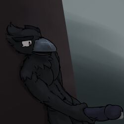 brawl_stars crow_(brawl_stars) furry male_only mood_18+_(artist) tagme