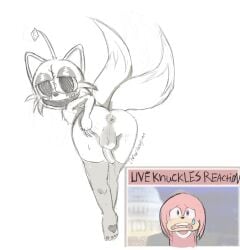 anthro asshole balls cock furry gay knuckles_the_echidna sonic.exe_the_disaster stiches tails_doll