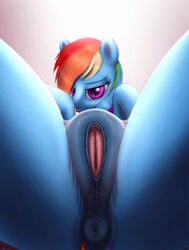 2017 animal_genitalia animal_pussy anus clitoris equine equine_pussy female feral friendship_is_magic gradient_background hair horse jeki looking_at_viewer mammal multicolored_hair my_little_pony pony pussy rainbow_dash_(mlp) simple_background solo spread_pussy spreading