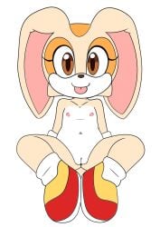 cream_the_rabbit cub flat_chest furry mikitng navel nipples nude pussy rabbit sonic_(series) sonic_the_hedgehog_(series) tongue tongue_out