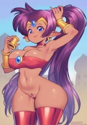 absurd_res big_breasts biped blue_eyes bottomless breasts clothed clothing ear_piercing ear_ring female genitals hair hi_res humanoid humanoid_pointy_ears legwear looking_at_viewer not_furry outside piercing pointy_ears ponytail pubes pupils purple_hair pussy ring_piercing shantae shantae_(series) smile solo standing supersatanson thick_thighs thigh_highs wayforward