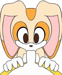 animated animated blowjob cream_the_rabbit cub fellatio furry mikitng penis rabbit sonic_(series) sonic_the_hedgehog_(series) tails_the_fox