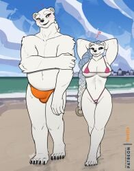 alyen_mewhitich anthro beach bear big_breasts blue_eyes blush braided_hair breasts city cityscape clothed clothing duo erection erection_under_clothing female feretta fur hair hands_behind_head hi_res larger_male long_hair male mammal muscular muscular_female muscular_male polar_bear shy size_difference skimpy skimpy_bikini speedo swimwear ursine white_body white_fur