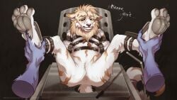 anthro belt canid canine cassius_(oldmancassius) cuntboy genitals gynecological_chair hi_res immobilization intersex male mammal paws psychobirb pussy solo tickling torture vulva