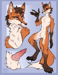 2022 4_toes 5_fingers anatomically_correct anatomically_correct_genitalia anatomically_correct_penis anthro arm_tuft balls big_feet big_hands big_tail biped black_claws black_nose black_pawpads blue_border border brown_body brown_ear_tips brown_feet brown_fur brown_hair brown_hands brown_markings brown_paws canid canine cheek_tuft chest_tuft claws countershade_torso countershading crotch_tuft digital_media_(artwork) dipstick_ears dipstick_tail disembodied_penis ear_markings eyebrows facial_markings facial_tuft featureless_crotch feet finger_claws fingerpads fingers fox fur genitals gloves_(marking) hair head_markings head_turned hi_res inner_ear_fluff knot kolkolukija leg_markings leg_tuft long_tail looking_at_viewer male male_anthro mammal markings model_sheet mouth_closed multicolored_ears navel neck_tuft nude_anthro nude_male on_one_leg open_mouth orange_body orange_fur pawpads paws penis pink_inner_ear pose pupils raised_foot raised_hand red_eyes signature simple_background slit_pupils socks_(marking) solo standing tail tail_markings toe_claws toes tuft white_body white_countershading white_fur white_inner_ear_fluff white_tail_tip