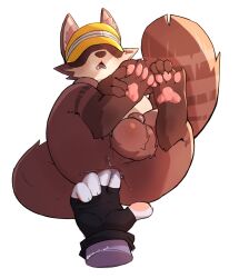 absurd_res anal anal_fingering animal_genitalia anthro balls big_balls blush bodily_fluids canid canine clothing duo fingering fluffy fluffy_tail genital_fluids genitals hat headgear headwear hi_res himacat holding_feet kama_(zenless_zone_zero) leaking_precum male mammal offscreen_character pawpads precum raccoon_dog sex sheath tail tanuki visor_cap