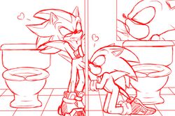 bathroom furry gay glory_hole hedgehog kneeling male mammal oral penis shadow_the_hedgehog skyeprower sonadow sonic_(series) sonic_the_hedgehog testicles toilet