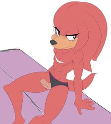 abs knuckles_the_echidna male male_only nipple ozzyoliverscat pantygremlin penis solo sonic_(series) underwear