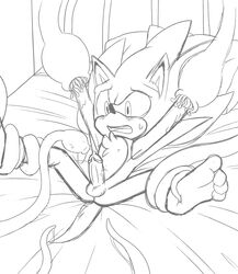 bound furry hedgehog male_only mammal penis skyeprower sonic_(series) sonic_the_hedgehog tentacle testicles