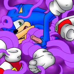 anal anthro blue_fur furry hedgehog male male_only mammal penis rape sega shoes_removed skyeprower skyevixensartwork sonic_(series) sonic_the_hedgehog tentacle tentacle_on_male tentacle_rape testicles