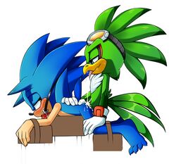 jet the hawk from sega by skyeprower
