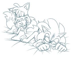 furry gay hedgehog male mammal penis presenting skyeprower sonic_(series) sonic_the_hedgehog tails testicles