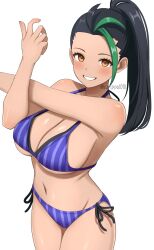 nemona (pokemon) from game freak by surippa1010