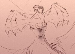 anus bat duo female feral fur genitals male male/female mammal penetration shadarrius size_difference smaller_male solo_focus vaginal_penetration vaginal_penetration vulva