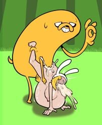 Adventure Time Rule 34 Image