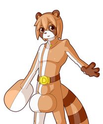 2014 balls bulge canine dlrowdog looking_at_viewer male male_only mammal simple_background skintight_suit solo tan_eyes tanuki white_background