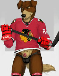 animal_genitalia animal_penis anthro blackhawks brown_fur bulge canine canine_penis chicago_blackhawks clothing flopped_ears fur gloves hockey hockey_stick jersey jockstrap looking_at_viewer male male_only mammal multicolored_fur number penis penis_tip pose red_penis smile solo sport standing teeth testicles truegrave9 underwear yellow_eyes