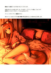 holo from spice and wolf by kawakami rokkaku