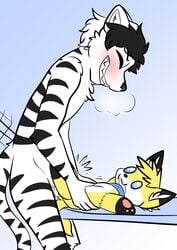 battler canine cum cum_inside feline fox male mammal masturbation plushie tiger