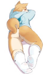 anthro ass blush canine clothing fur legwear looking_back male male_only mammal sheeporwolf simple_background socks solo testicles white_background