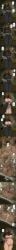 alva_(klaus) angry angry_expression angry_eyes angry_face anus black_eyes blonde blonde_female blonde_hair blonde_hair_female breasts closed_eyes clothed_female cum cum_in_pussy cum_inside cyberboi dress_lift fellatio fertilization hairy impregnation kissing klaus_(film) lactating lactation long_hair milk money money_bag nipples oral oral_penetration oral_sex orange_hair orgasm paying pubic_hair sex short_hair sperm sperm_cell sperm_meets_ovum vaginal vaginal_insertion vaginal_penetration vaginal_sex x-ray