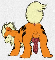 anatomically_correct anatomically_correct_penis animal_genitalia animal_penis anus canine canine_penis feral growlithe knot looking_back male male_only mammal monochrome nintendo pencil_(artwork) penis pokemon pokemon_(species) python13rp simple_background solo testicles traditional_media_(artwork) video_games white_background yaroul