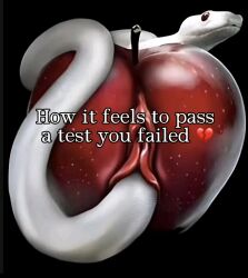 Apple Rule 34 Image