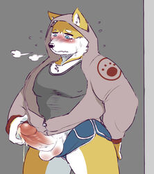 anthro blush canine clothed clothing cum erection humanoid_penis male male_only mammal muscular nipple_bulge penis sheeporwolf solo sweat testicles