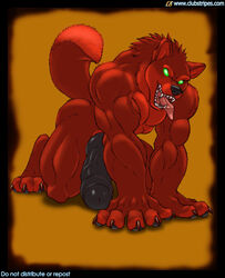 all_fours anthro black_nose black_penis border canine claws clubstripes do_not_distribute do_not_repost empty_eyes erection furry gideon glans glowing glowing_eyes green_eyes hybrid_penis knot male male_only mammal muscular muscular_male nude open_mouth penis red_fur simple_background solo solo_male teeth tongue tongue_out uncut wolf