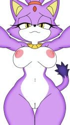 Sonic (Series) Rule 34 Image