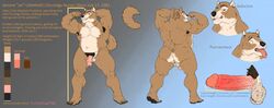 anthro canine erection flaccid hairy_balls humanoid_penis male mammal model_sheet musclegut muscular nude penis pubes smile solo stickyfeathers testicles