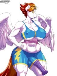 fan character from my little pony by plankboy