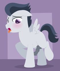 animal_genitalia animal_penis black_hair dtcx97 equine erection feathered_wings feathers friendship_is_magic fur grey_feathers grey_fur hair hooves horse male male_only mammal my_little_pony open_mouth pegasus penis pony precum rumble_(mlp) simple_background tongue tongue_out wings young