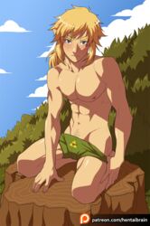 link from breath of the wild by hentaibrain