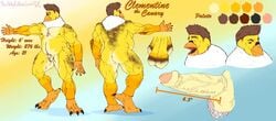 anthro avian bird erection flaccid humanoid_penis male male_only model_sheet musclegut penis pubes solo standing stickyfeathers testicles uncut