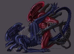 2004 alien_(franchise) gay male male_only male_xenomorph no_humans tagme tina_leyk xenomorph