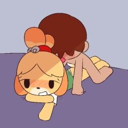 1girls ambiguous_penetration animated anthro bell blush blush_lines chibi faceless_male hairband heart human human_on_anthro isabelle_(animal_crossing) lying_on_bed no_sound regular4256 short_loop shorter_than_10_seconds tagme video villager_(animal_crossing)