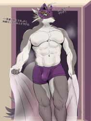 abs anthro blue_eyes bulge canid canine clothing detailed_bulge dialogue fox fur grey_body grey_fur hi_res holding_object holding_towel inside japanese_text lifewonders live_a_hero looking_at_viewer male mammal mask muscular muscular_anthro muscular_male rottaloo solo text towel underwear vulpecula