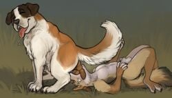 animal_genitalia anthro canid canine canis coyote domestic_dog duo eating_feces feces feces_in_mouth feral genitals hi_res lying male male/male mammal molosser mountain_dog on_back penis saint_bernard scat sheath squatting_pose torakuta wide_eyed