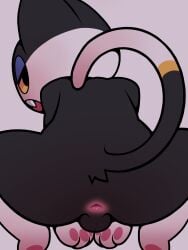 absurd_res animal_crossing anthro anus backsack balls butt crouching domestic_cat felid feline felis genitals hi_res looking_at_viewer looking_back male mammal nintendo nulldjqtdma punchy_(animal_crossing) rear_view solo