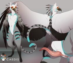 accipitriform alternate_version_at_source ambiguous_gender animal_genitalia anthro avian bird caedis_animus genital_slit genitals herm hi_res intersex nude_anthro ohelladarian_(artist) penis reference_image secretary_bird solo vulva