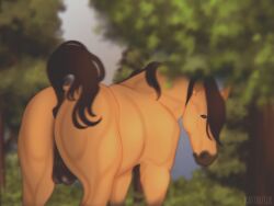 4:3 balls close-up dreamworks equid equine feral forest genitals hi_res hooves horse kattbutik male mammal ohfeel!a plant rear_view scenery solo spirit spirit:_stallion_of_the_cimarron spirit_(cimarron) tree