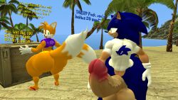 sonic the hedgehog from sonic (series) by kane brent koopa