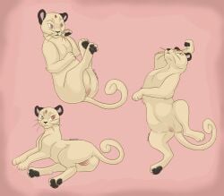 absurd_res amarixa curlytail felid female female_feral feral generation_1_pokemon genitals hi_res looking_at_viewer lying mammal multiple_images nintendo paws persian_(pokemon) pokemon pokemon_(species) pose posed practice pussy sex solo tail tempting vulva