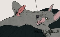 2017 bed canine inside jackal licking licking_lips looking_at_viewer lying male male_only mammal necrosquelch nude open_mouth penis roz selfie solo teeth tongue tongue_out vein watermark yellow_eyes