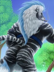 2016 anthro armlet ass black_fur black_tail blue_eyes blue_mane blue_sky cigar detailed_background diaszoom dutch_angle feline fur harness hybrid liger lion looking_at_viewer looking_back low-angle_view male male_only mammal mane mostly_nude multicolored_fur multicolored_mane multicolored_tail outside pink_nose pinup portrait pose rear_view sky smile smoke smoking snapcat solo standing striped_fur striped_tail stripes testicles three-quarter_portrait tiger tree two_tone_fur two_tone_mane two_tone_tail watermark whiskers white_balls white_fur white_mane white_stripes white_tail