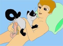 1boy ambiguous_gender ass_up bed eyelashes feline feral furry half-closed_eyes human human_on_feral interspecies male mammal mike_sherman on_back on_top penetration penis pillow pussy sex size_difference testicles vaginal_penetration zoophilia